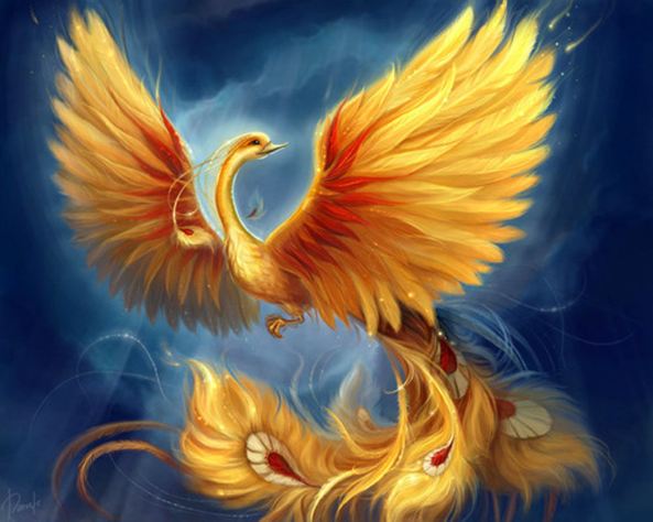 Phoenix Rising