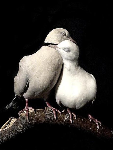 c4258757b5210024e42634ba847aff70.wix_mp_1024