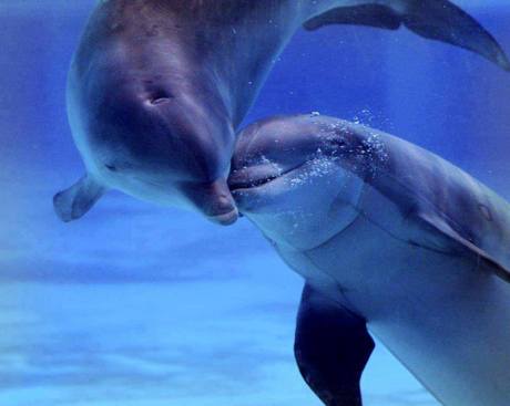 1451486_10151786677657076_895429689_n